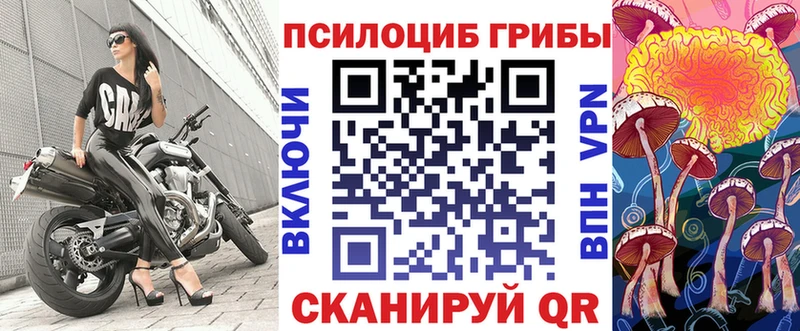 Псилоцибиновые грибы Cubensis  Купить где  Велиж 